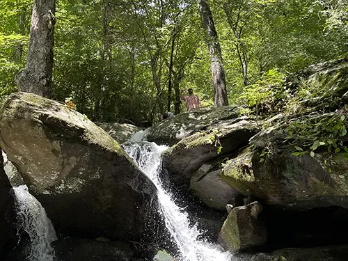 652952c69dcdf7cd258ea6a1 goforth creek hiking trail ocoee tennessee