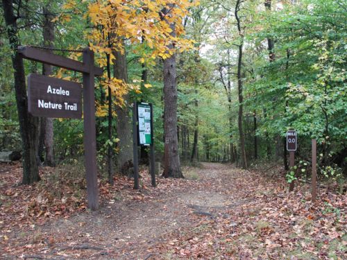 6529798d8d42e14c992d6bb0 azalea trail benton tennessee