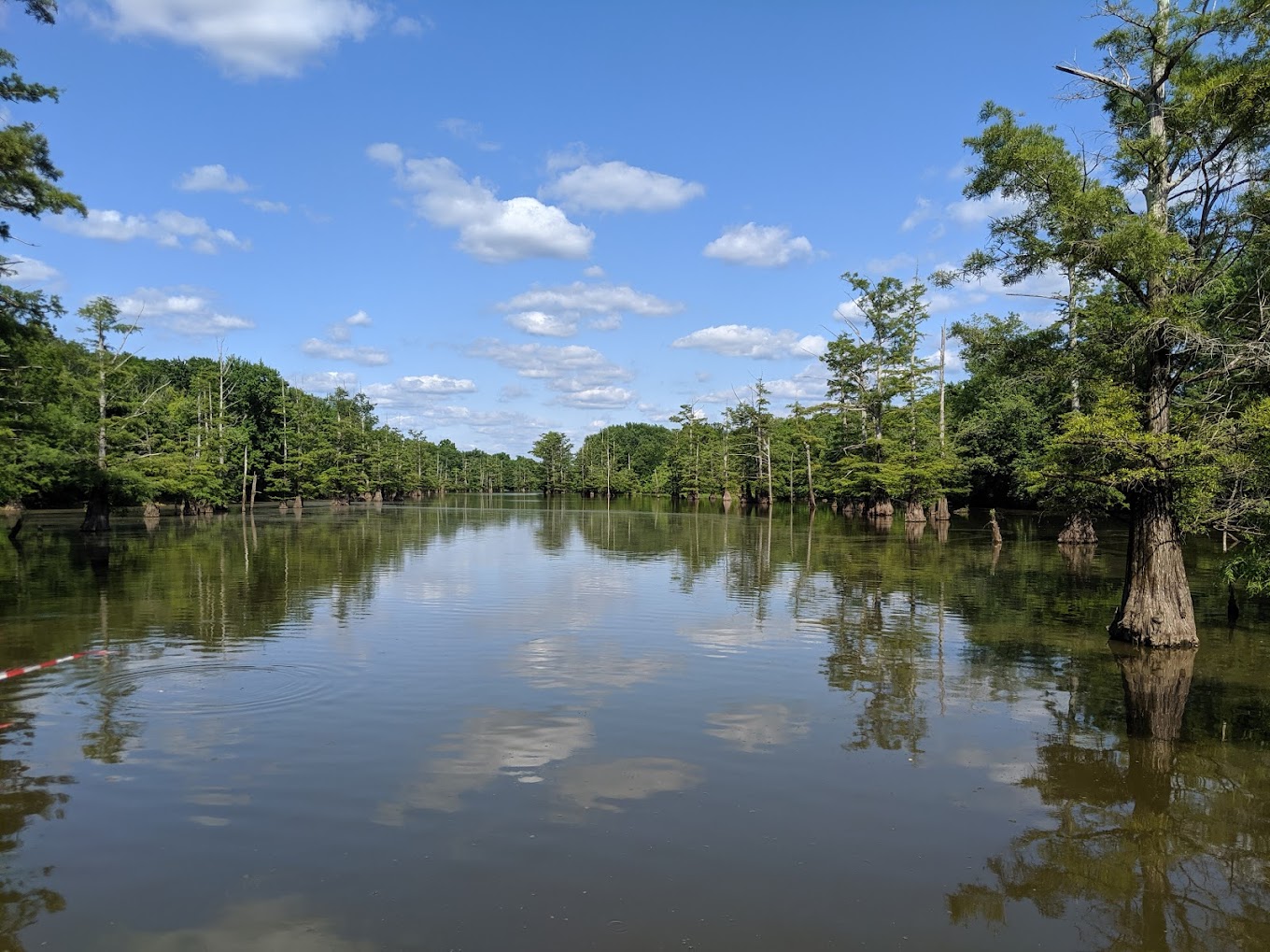 Duck Unit Refuge TN