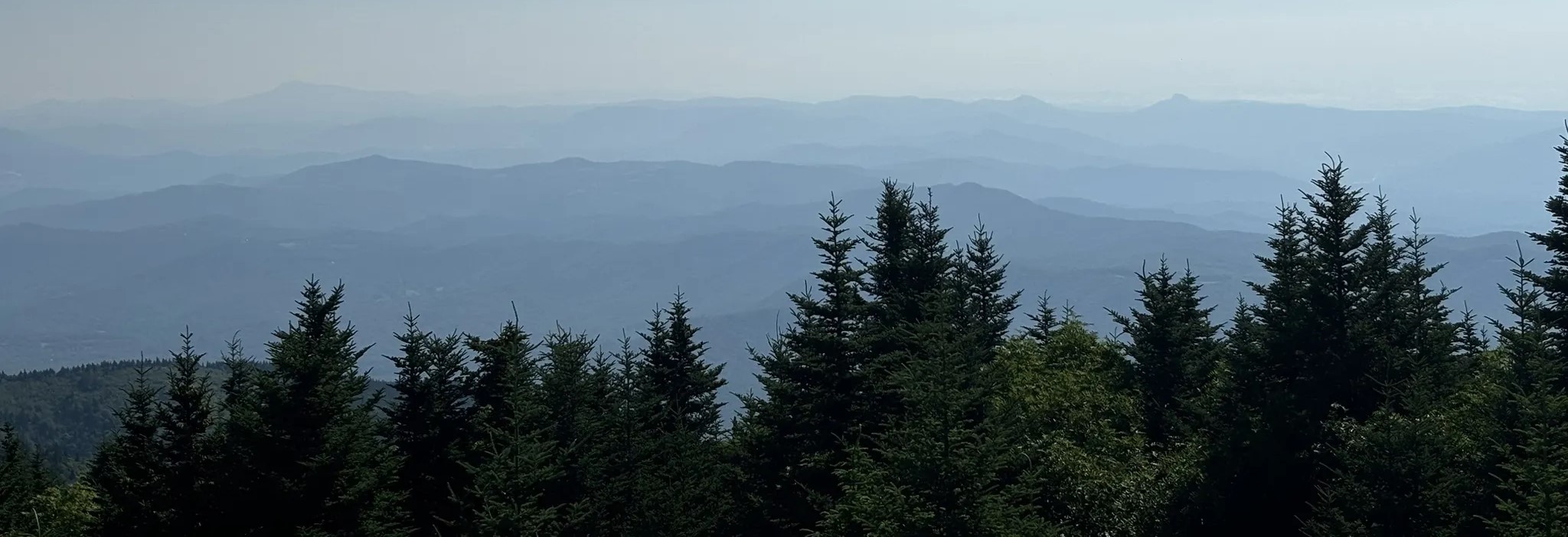 Mount Mitchell Summit Trail