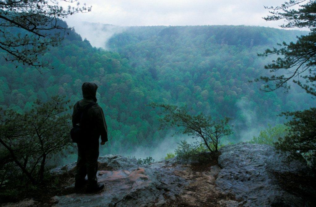 man standing at an overlook on the Fiery Gizzard trail on a foggy morning