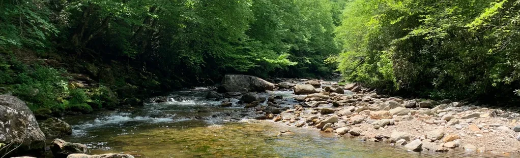 Pigeon and Little East Fork Rivers