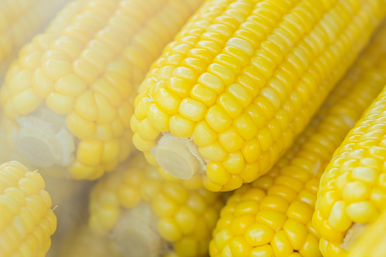 Visit The Sweet Corn and BBQ Festival
