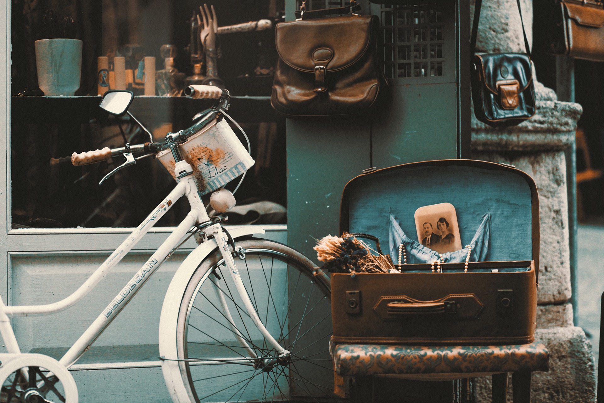 Top 5 Local Shops to Visit