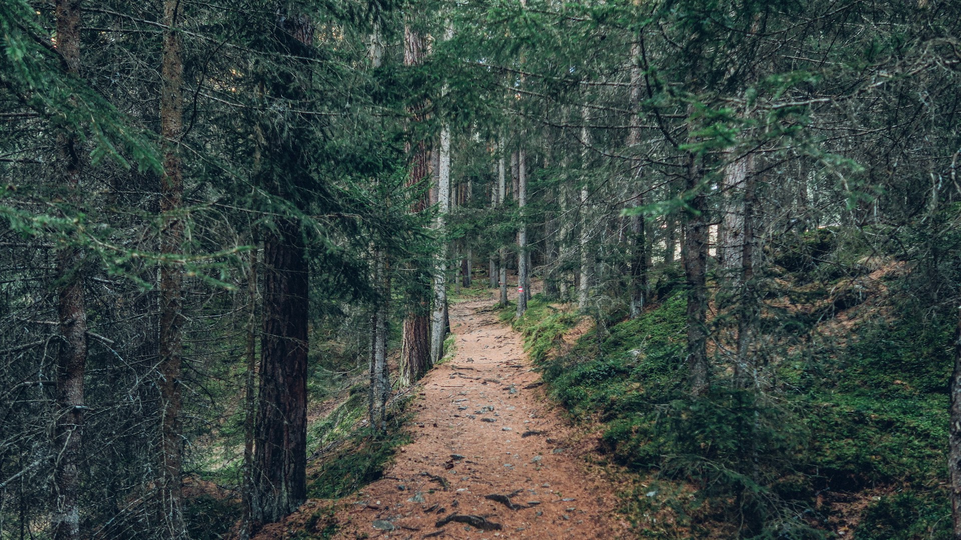Check out the Pocono Mountain hiking trails