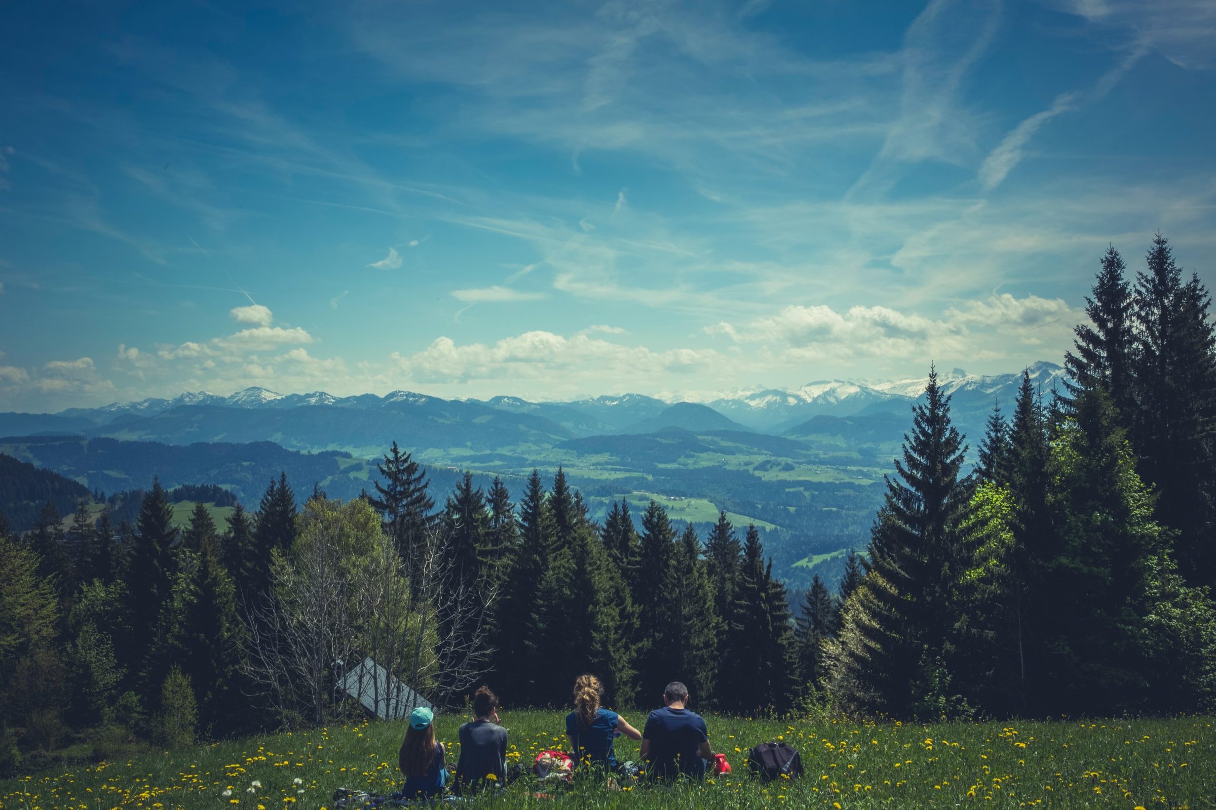 family sitting in a grove on a mountain looking off into the distance
