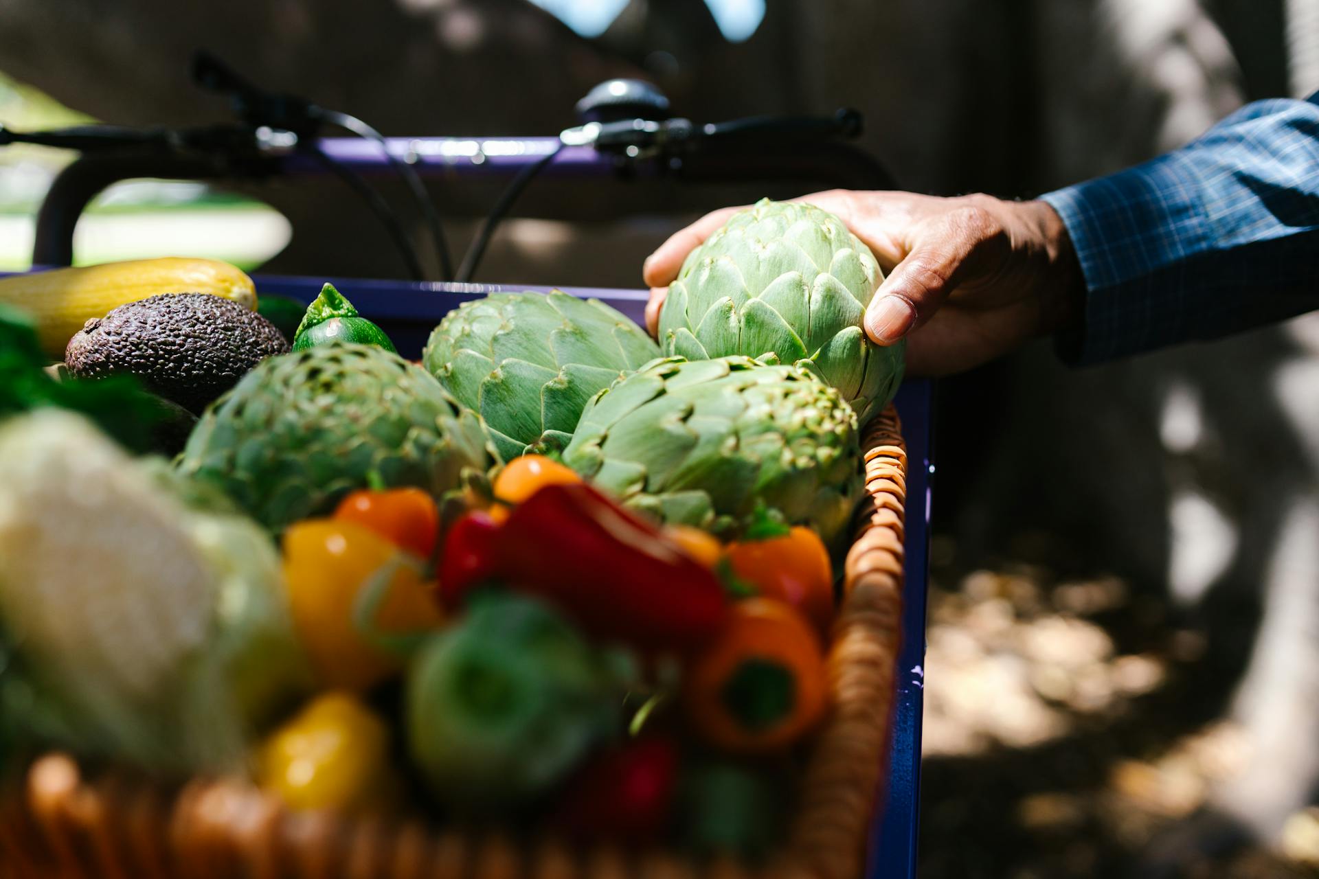 Check out a Pocono farmers market