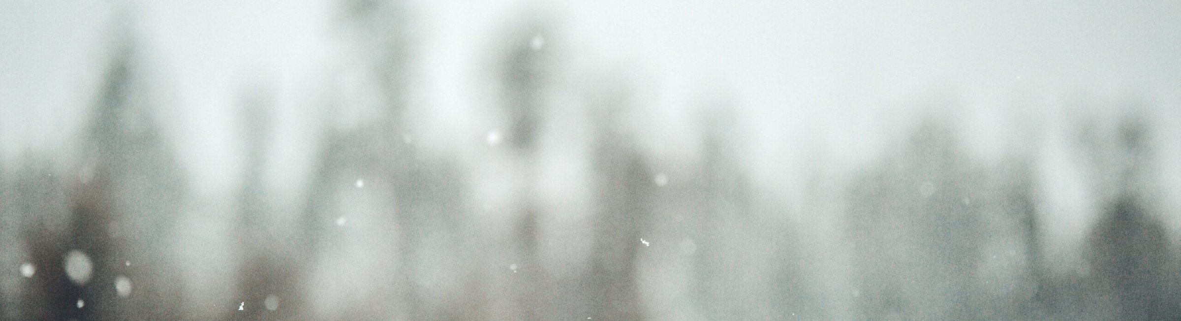 Beautiful Poconos snow