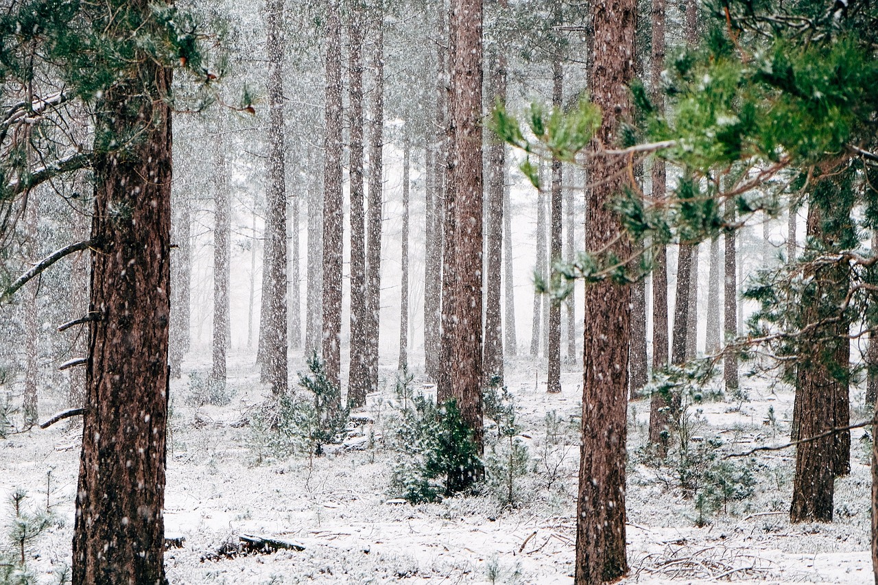 Poconos winter vacation