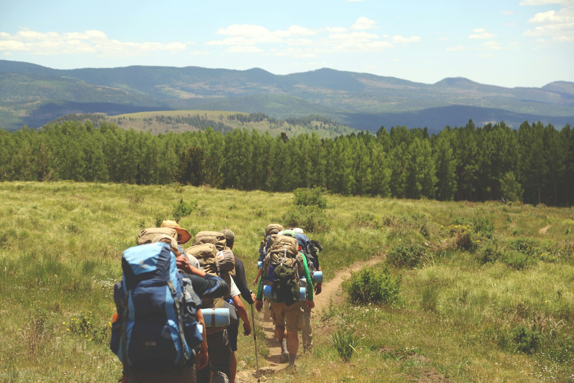 Group hiking in field