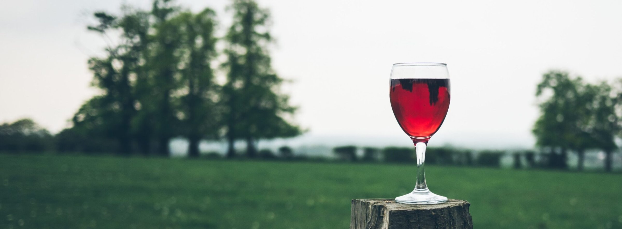 A fresh glass of wine at the Blue Ridge Estate