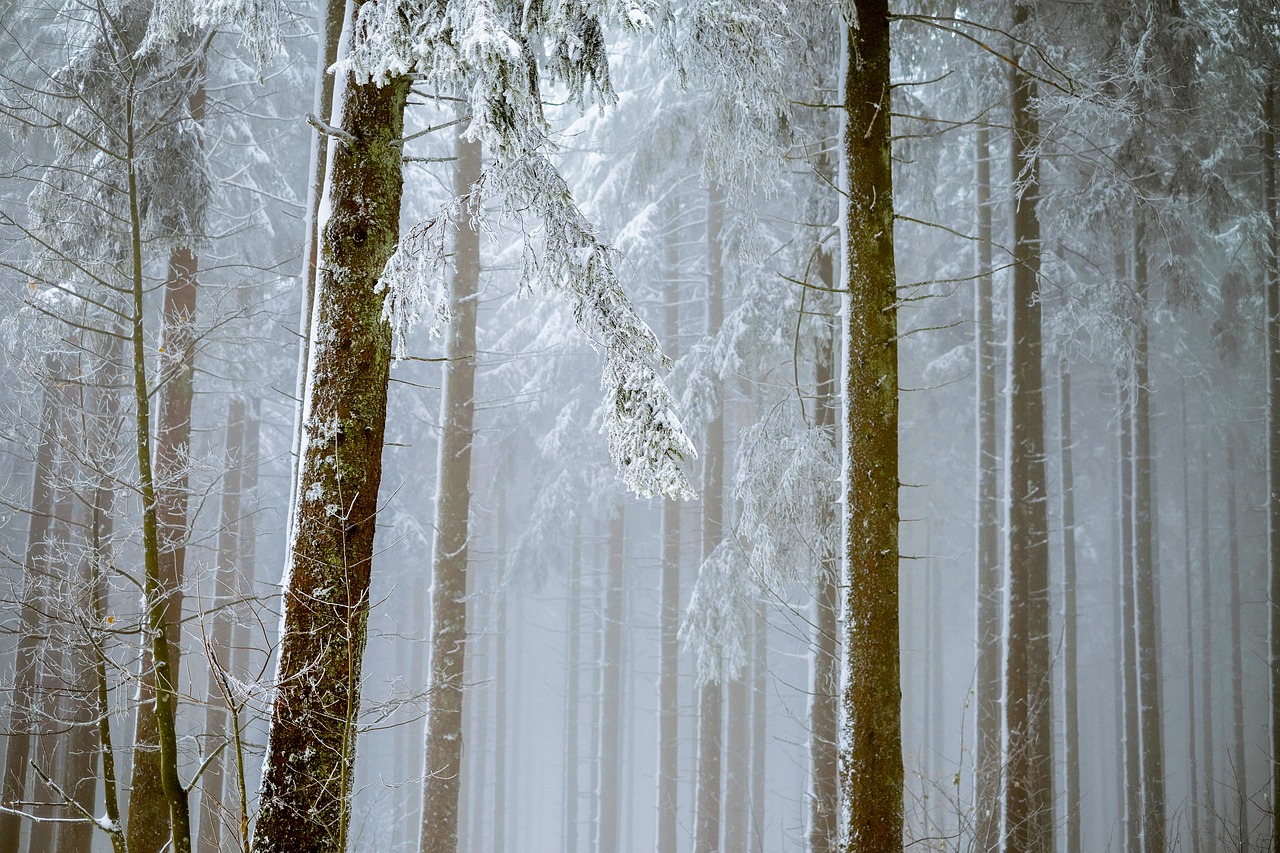 Pocono Mountains winter