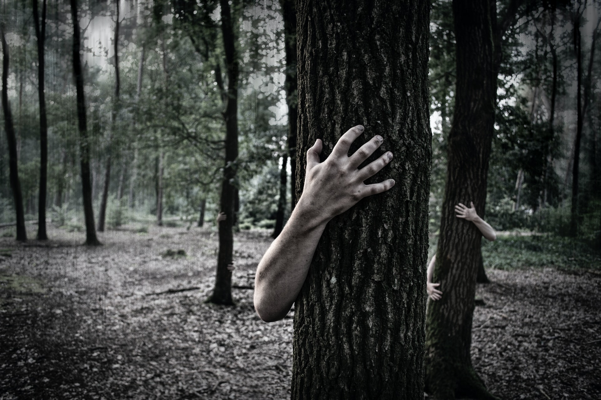 Waldorf Estate of Fear