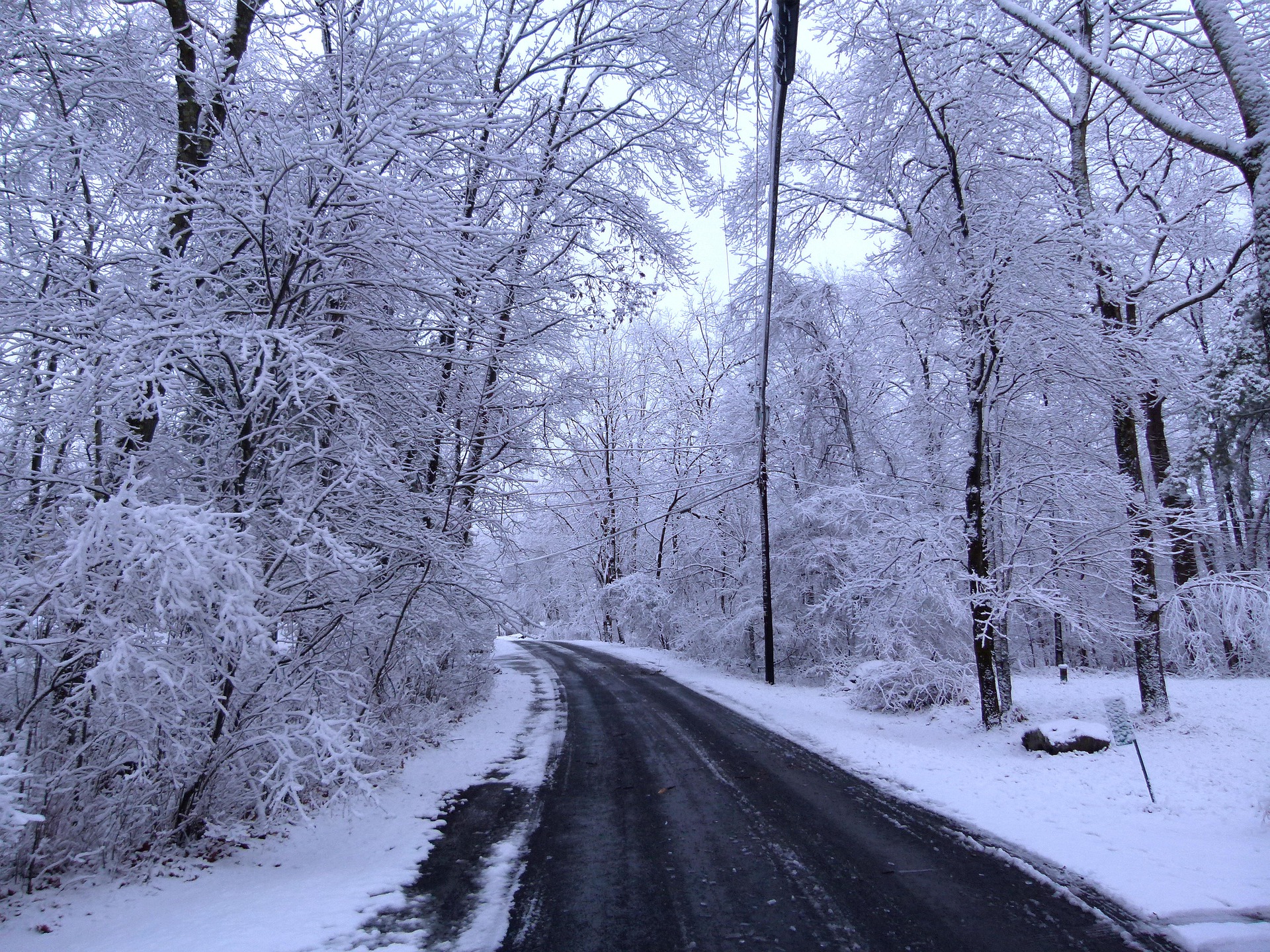 road in woods in winter