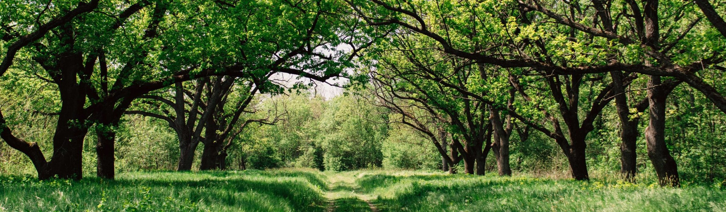 The Poconos in Spring: beautiful and warm!