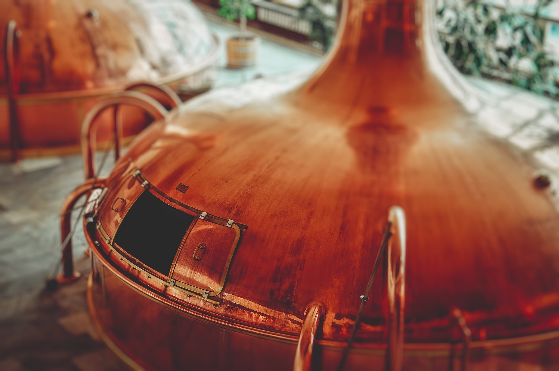 Top 5 Local Breweries