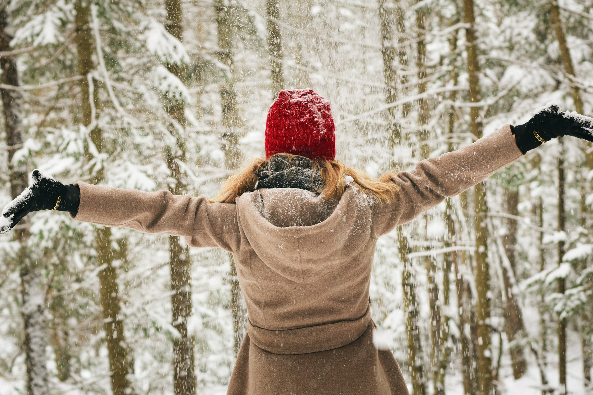 Pocono Mountain Holiday Events
