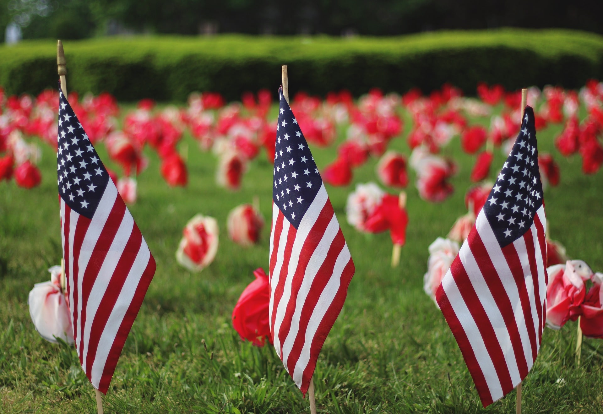 Flags for Memorial Day in the Poconos