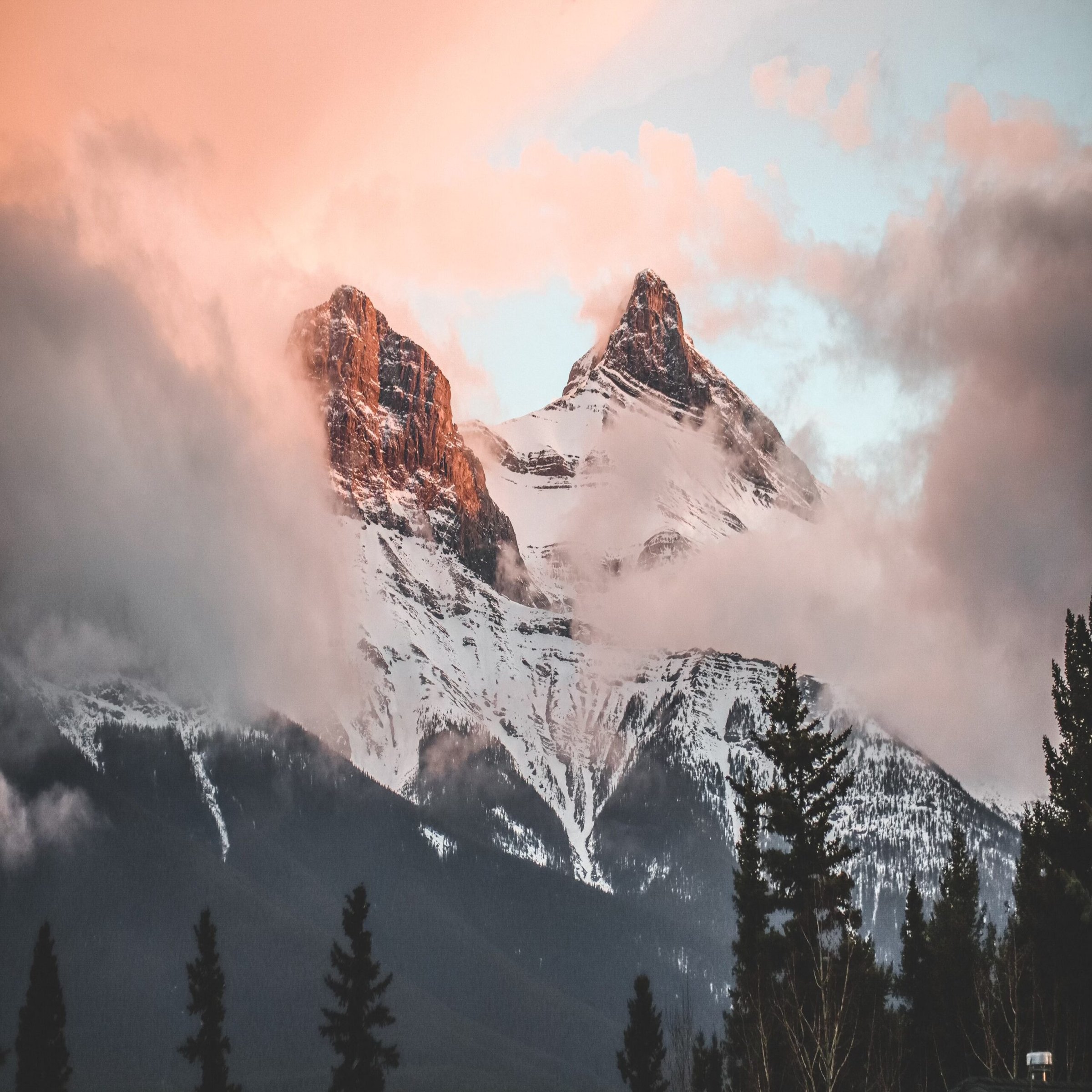 2022 Banff Film Festival