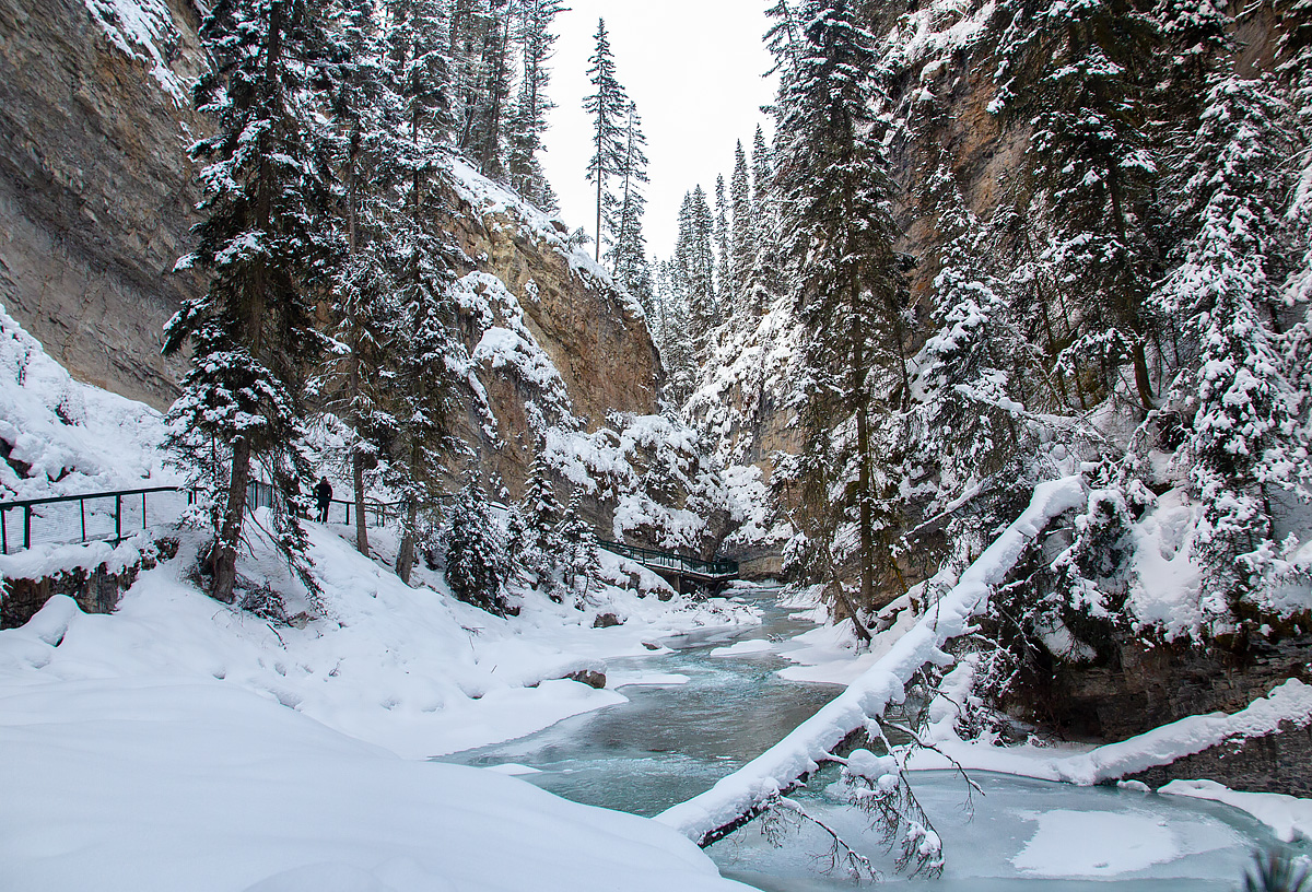 Experience a Guided Walk of Grotto Canyon & Jura Creek