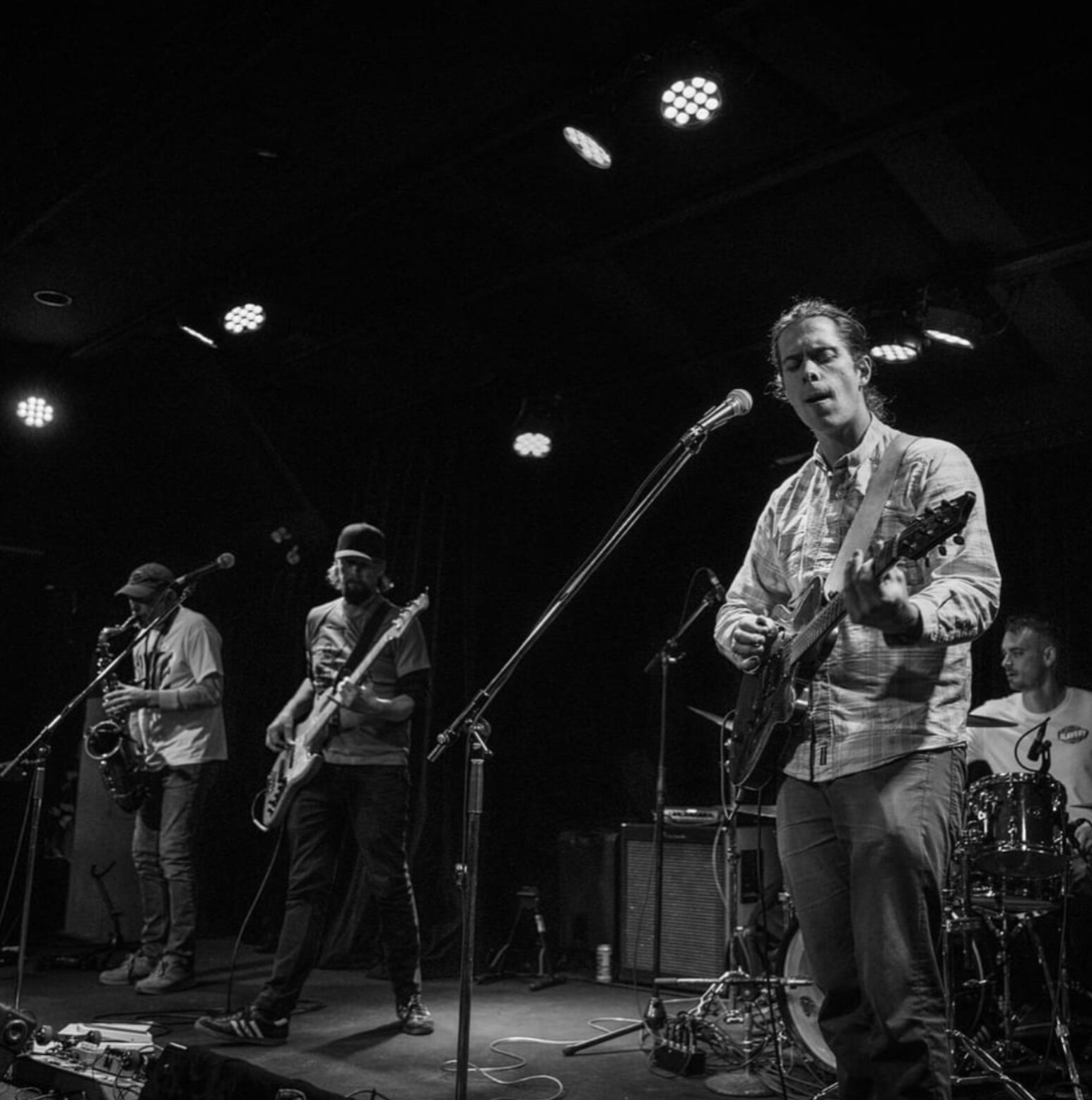Zebra: Funk: Live Music At artsPlace