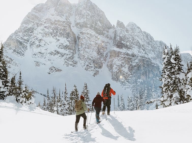 Snow shoeing