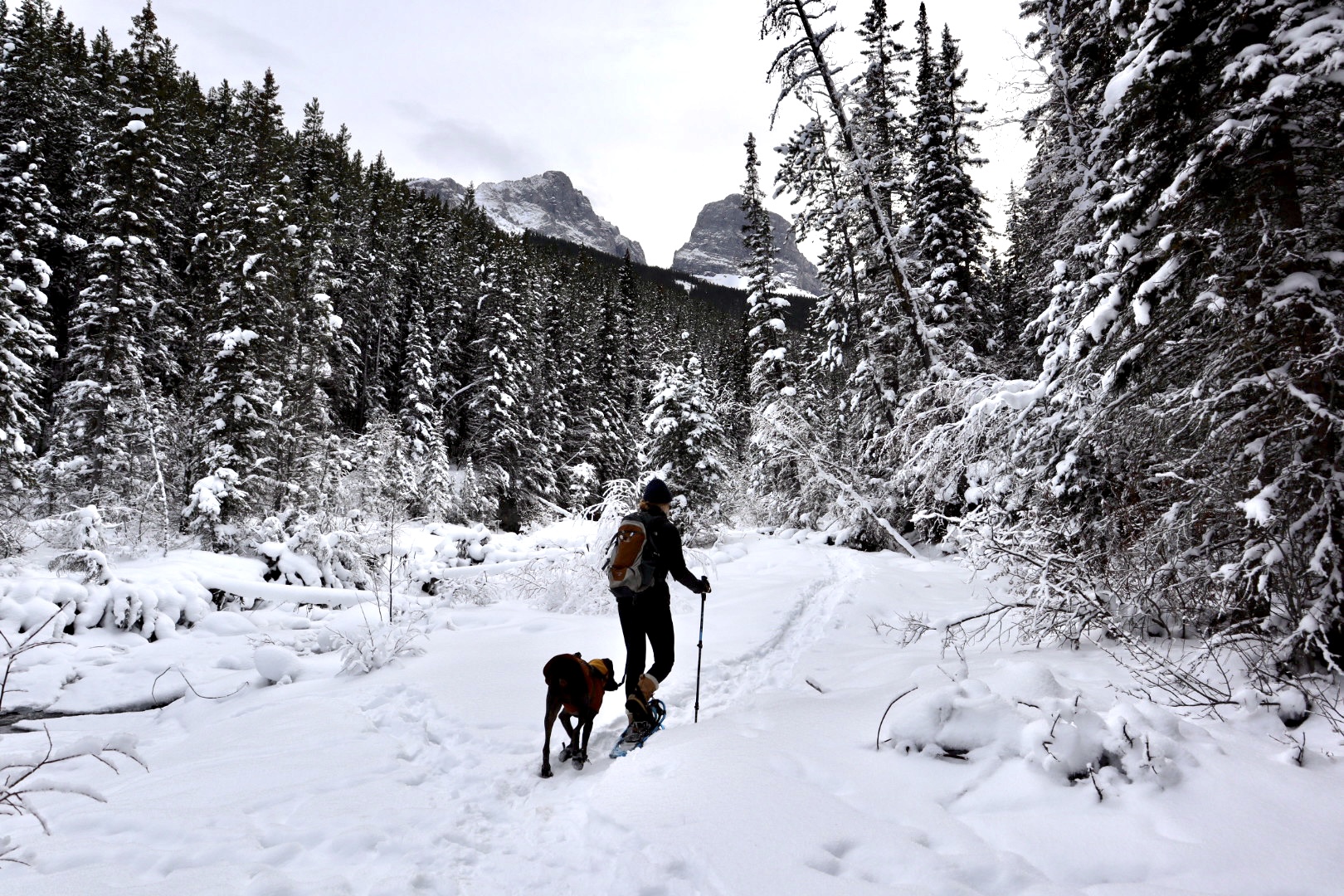 Snow Shoeing