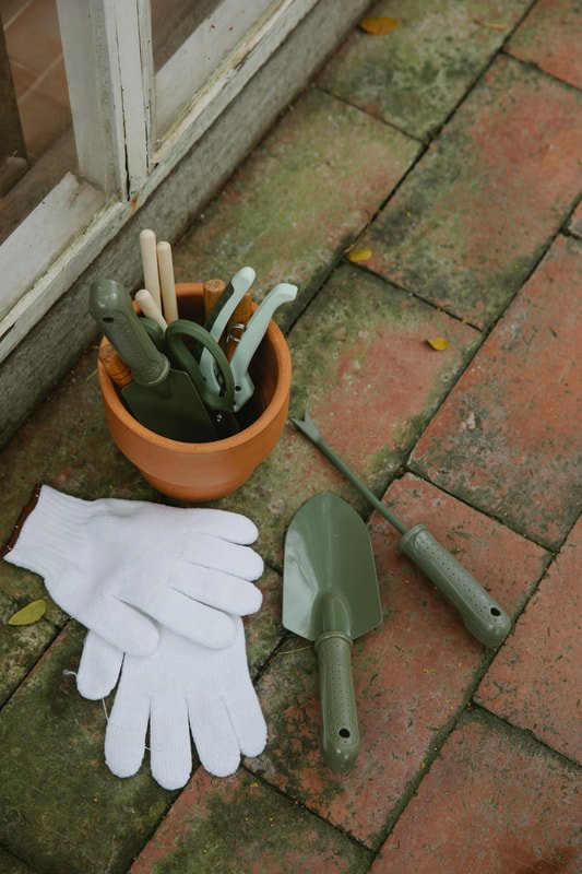 Outdoor gardening tools in a terracotta pot