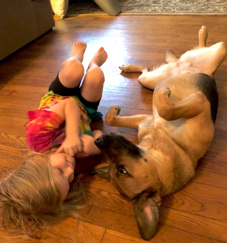 Beckon Homes pet-friendly Nashville property