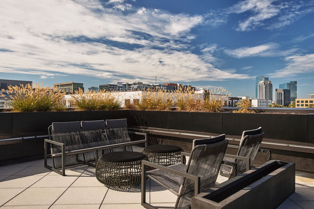 Communal rooftop at The Carter