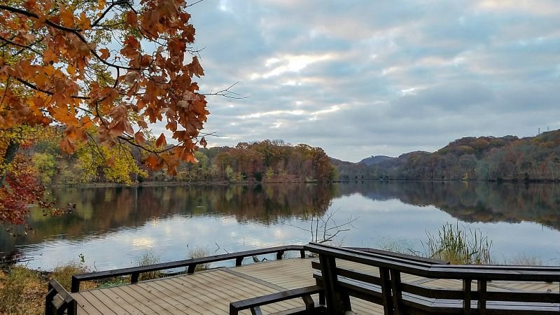 Radnor Lake fall foliage trail