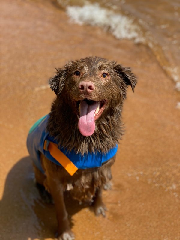 Lincoln on vacation with mom, Chief of Staff, Cori Sarni