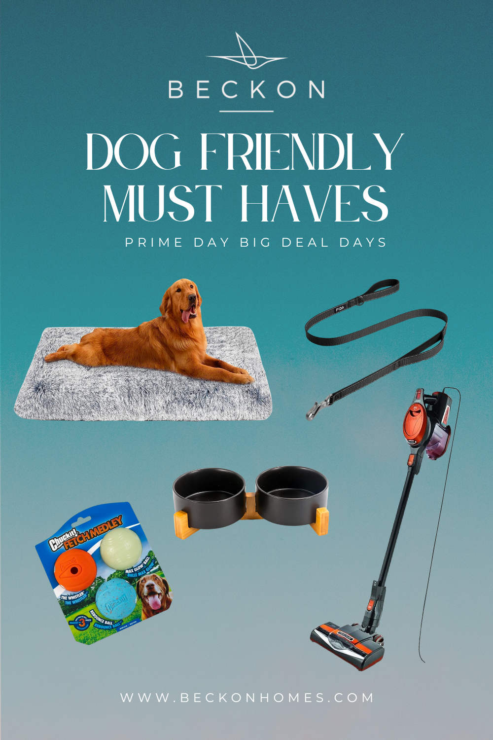 Dog-friendly rental must-haves