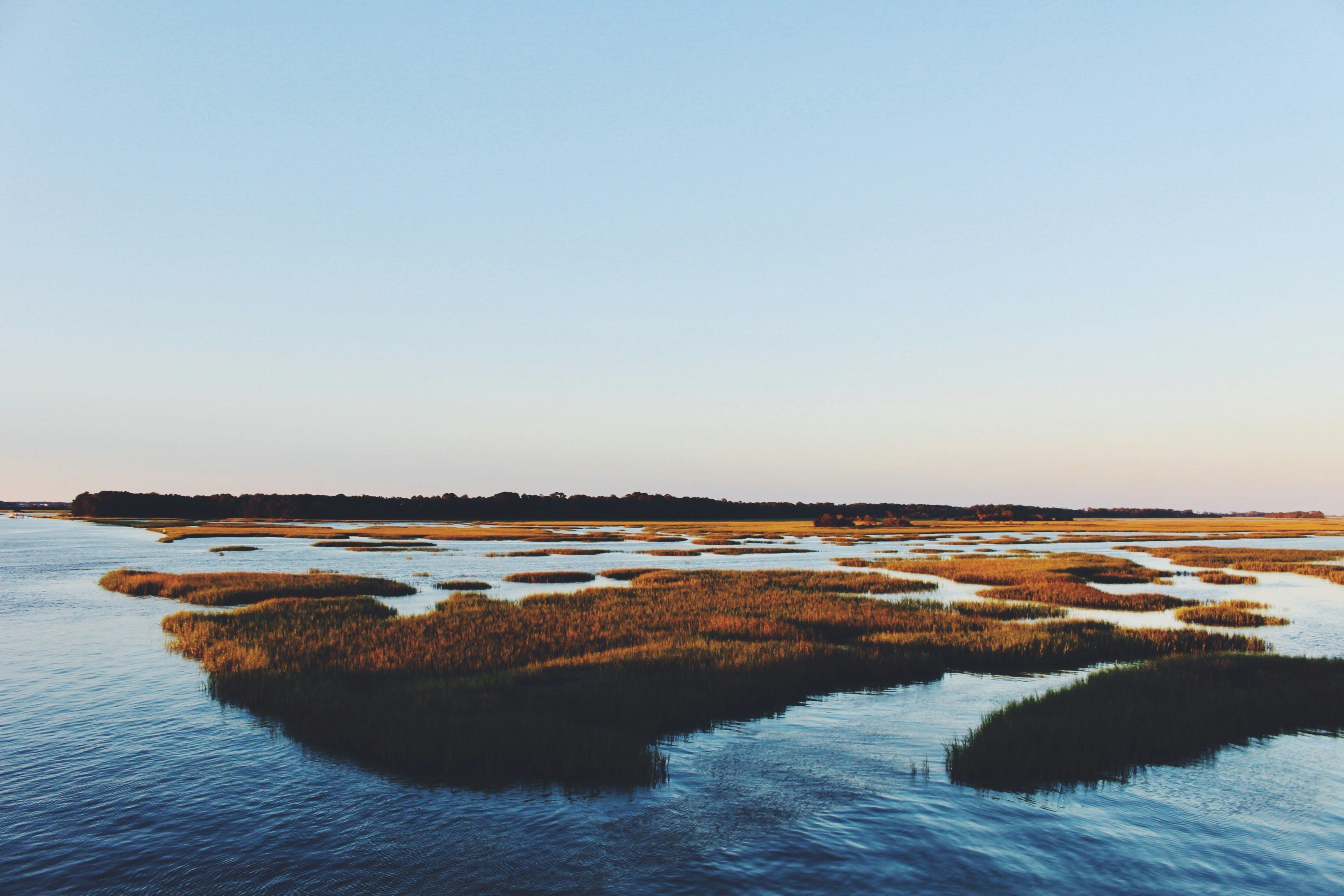Tidal marsh at sunset near Little River SC