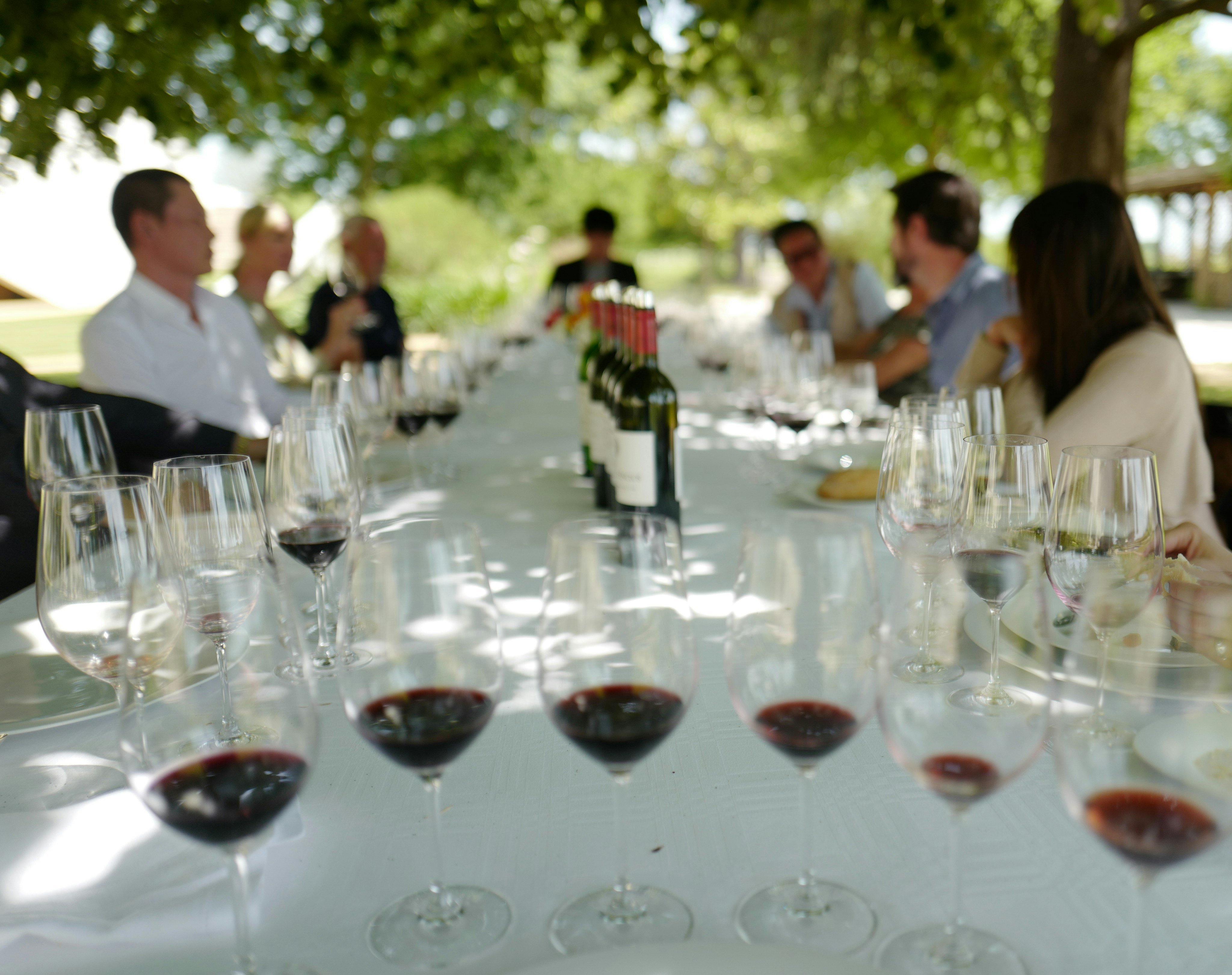 Wine Tastings & Tours