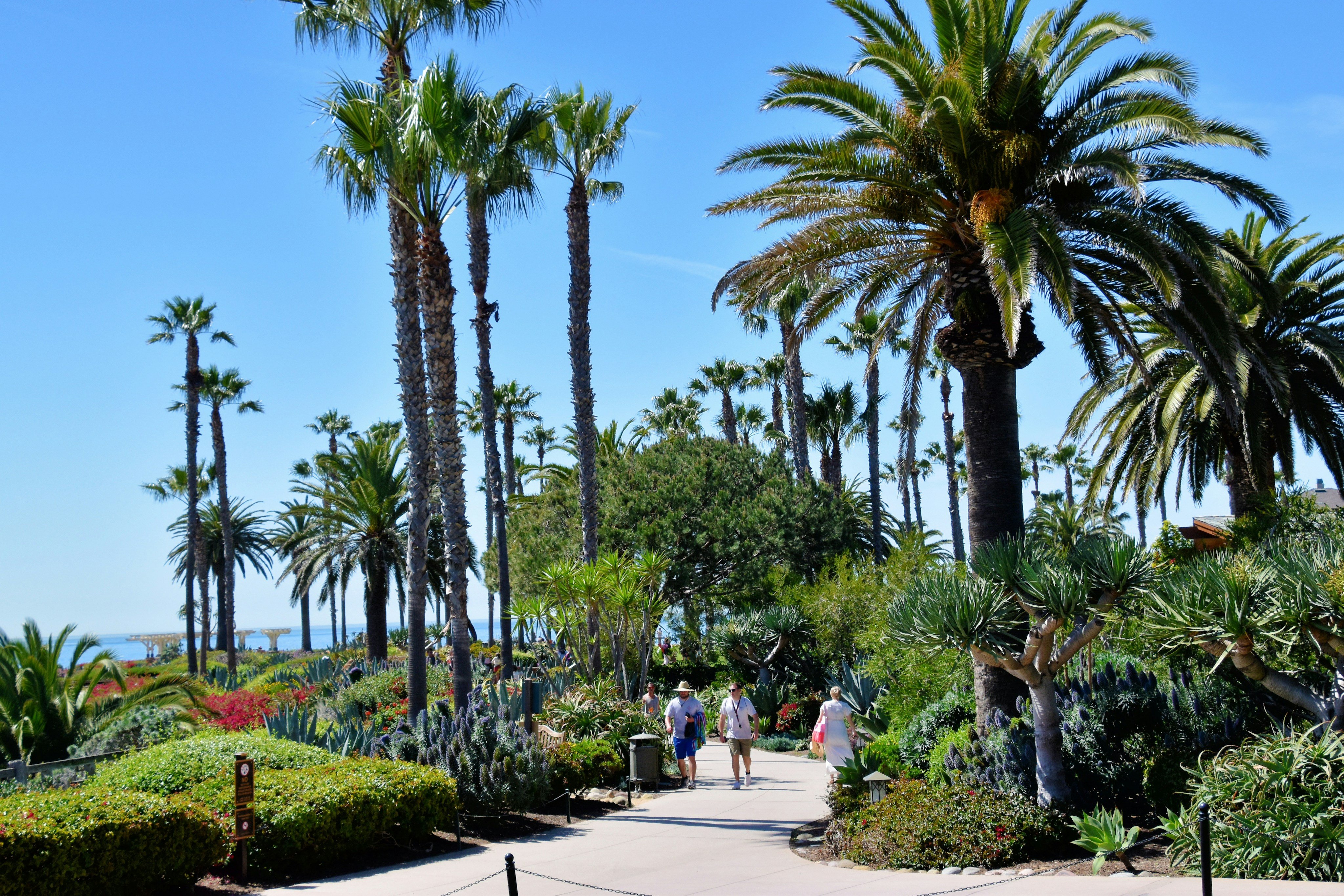 Parks