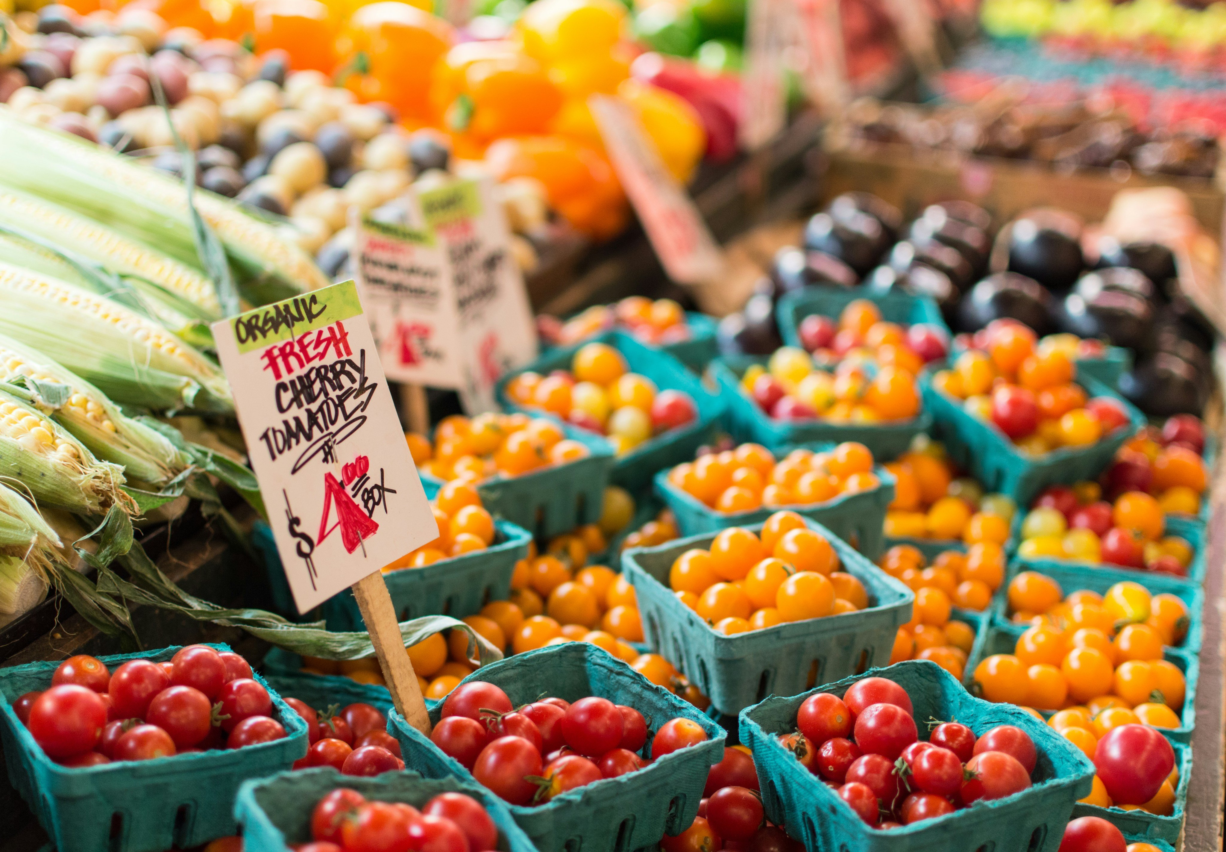 Grocery Stores & Markets