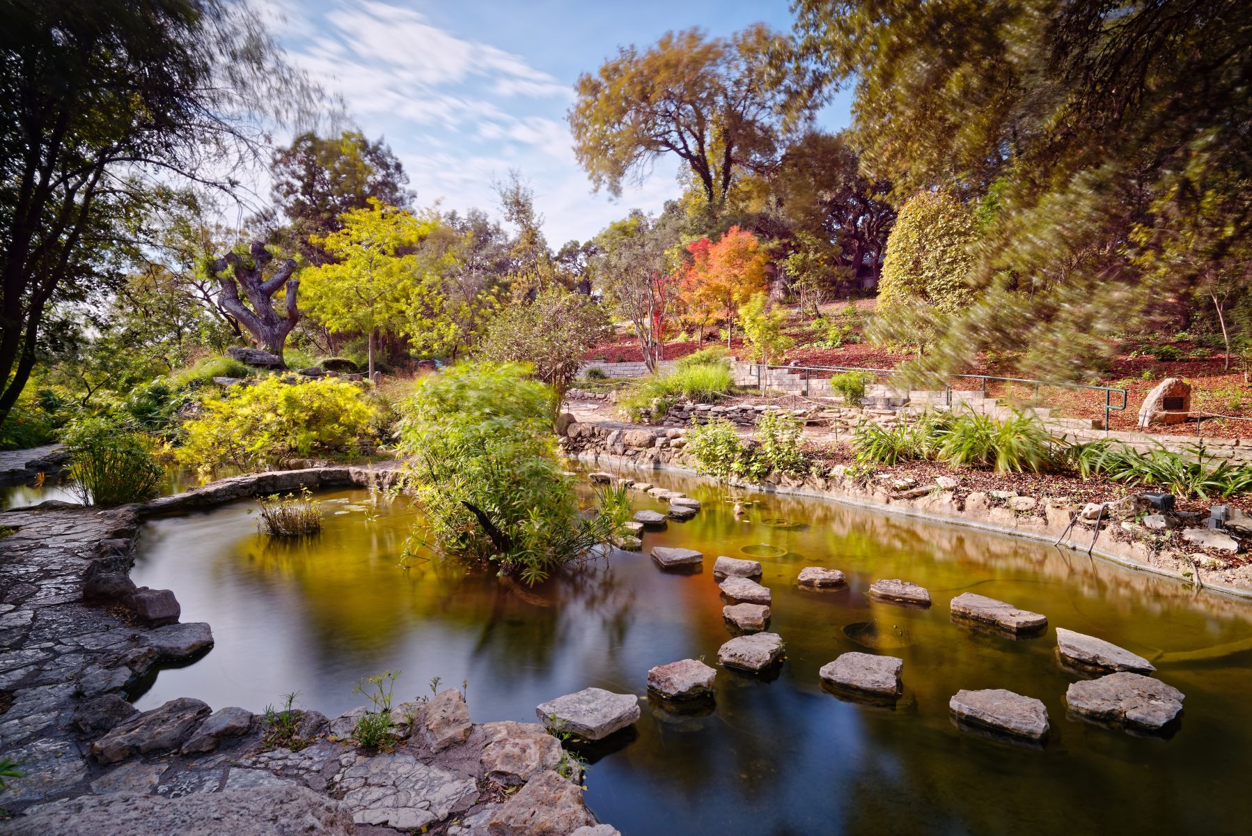 Zilker Botanical Garden in Austin, TX