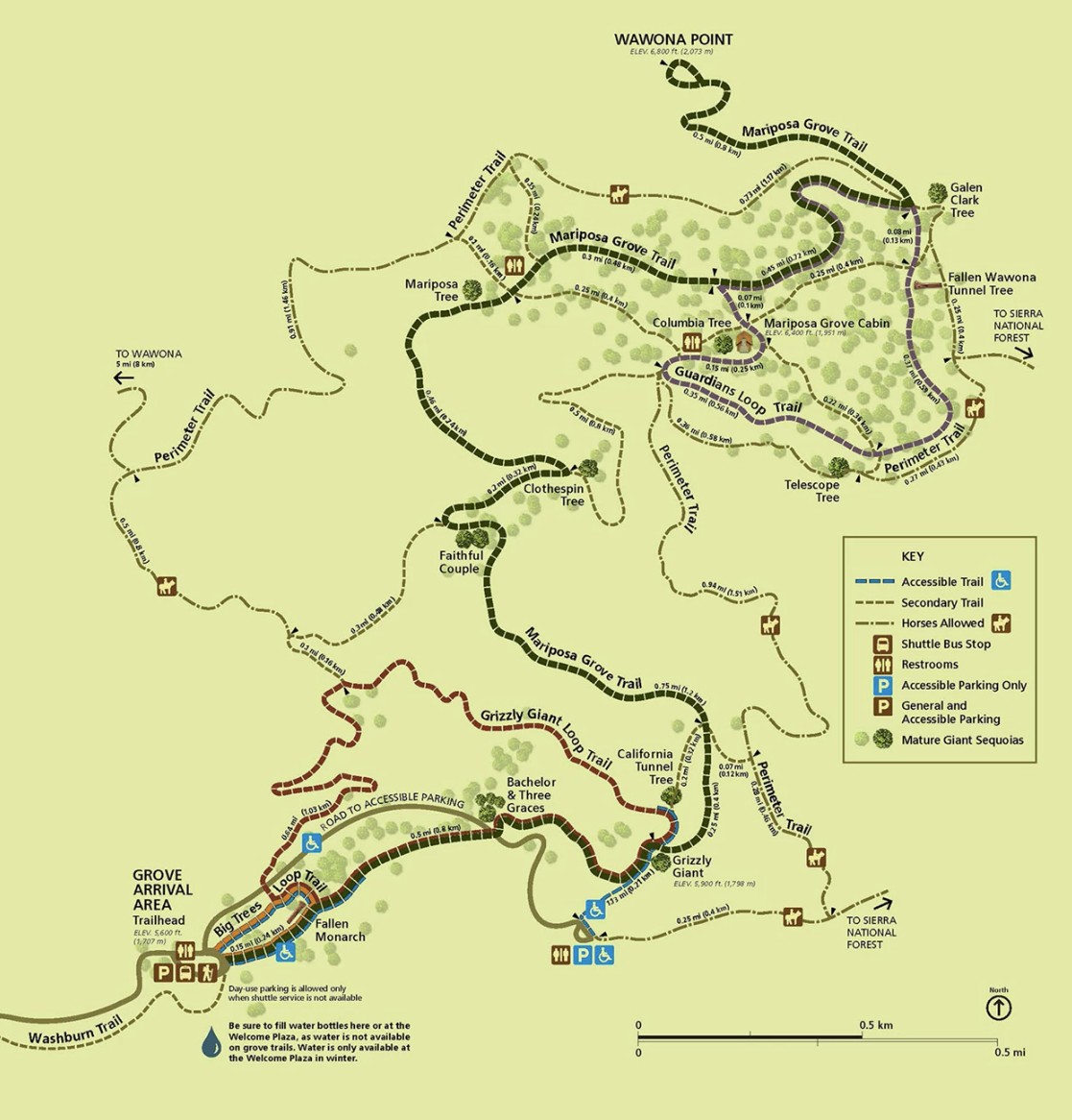 Map of the Mariposa Grove of Giant Sequoias (Courtesy NPS)