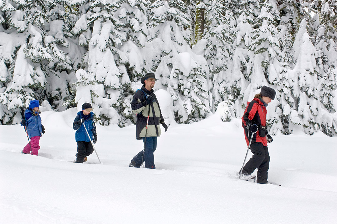 snowshoeing in Yosemite in December