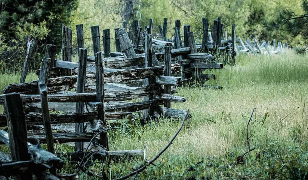 Wawona Meadow Loop Trail fence