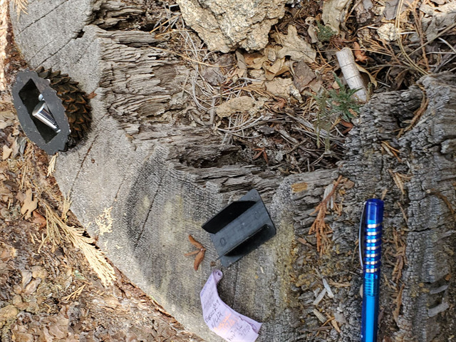 A geocache at Wawona