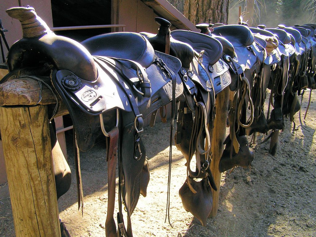 Horseback riding saddles on a wooden rail