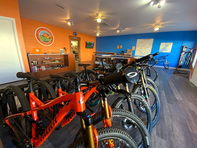 rent bikes at pedal forward