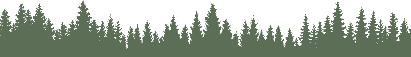 Pine trees