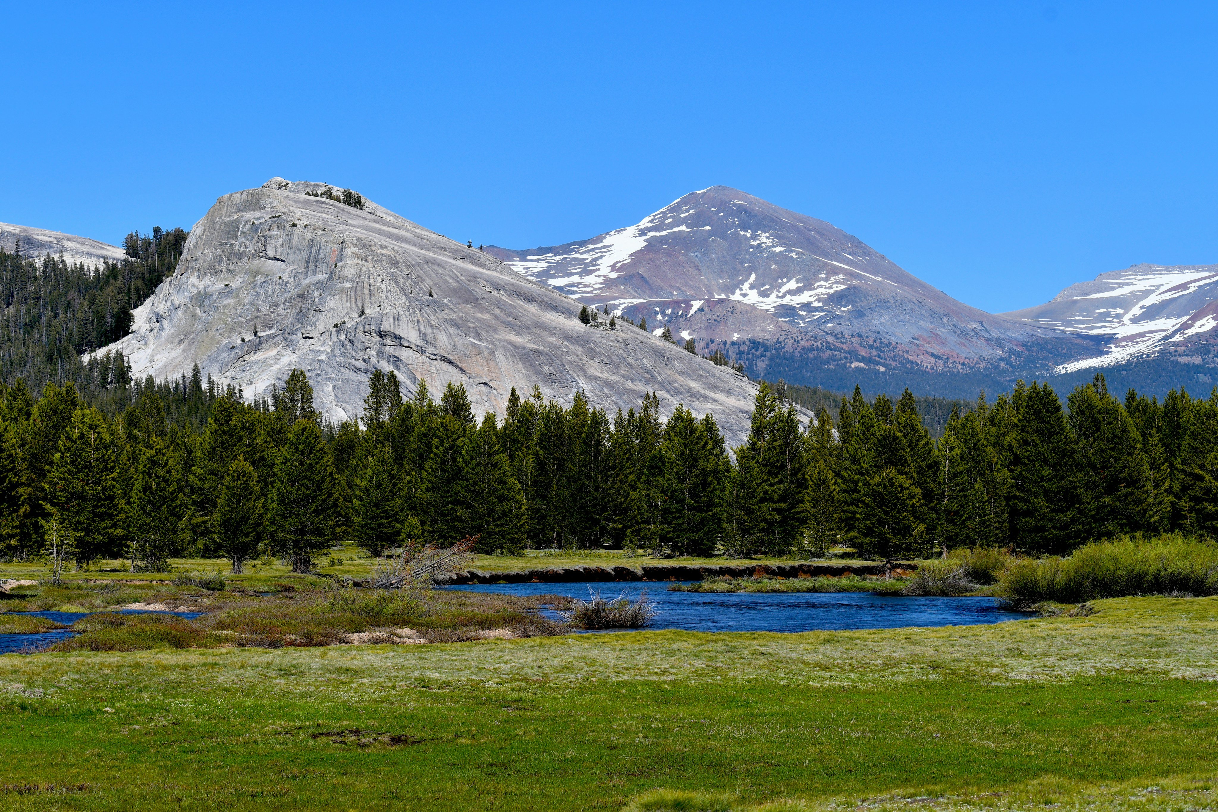 Tuolumne Meadows with granite dome and alpine stream