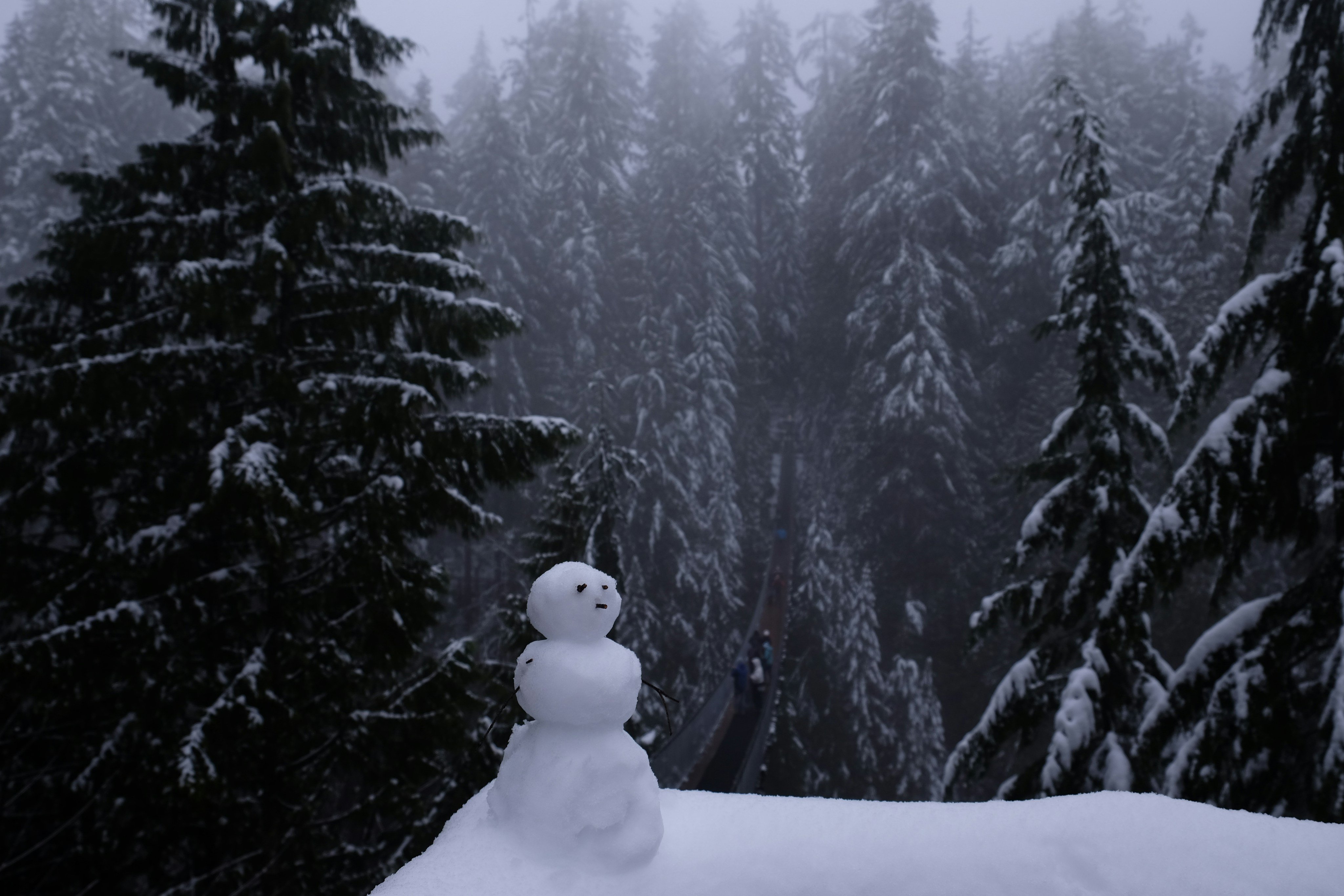 Snowman in a snowy pine forest