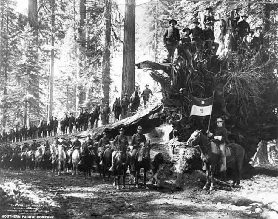 Cavalry troop posing with and on top of the Fallen Monarch with their horses.