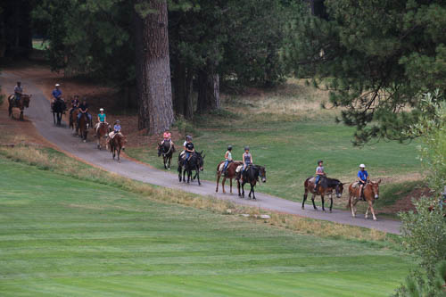 horseback riding in wawona