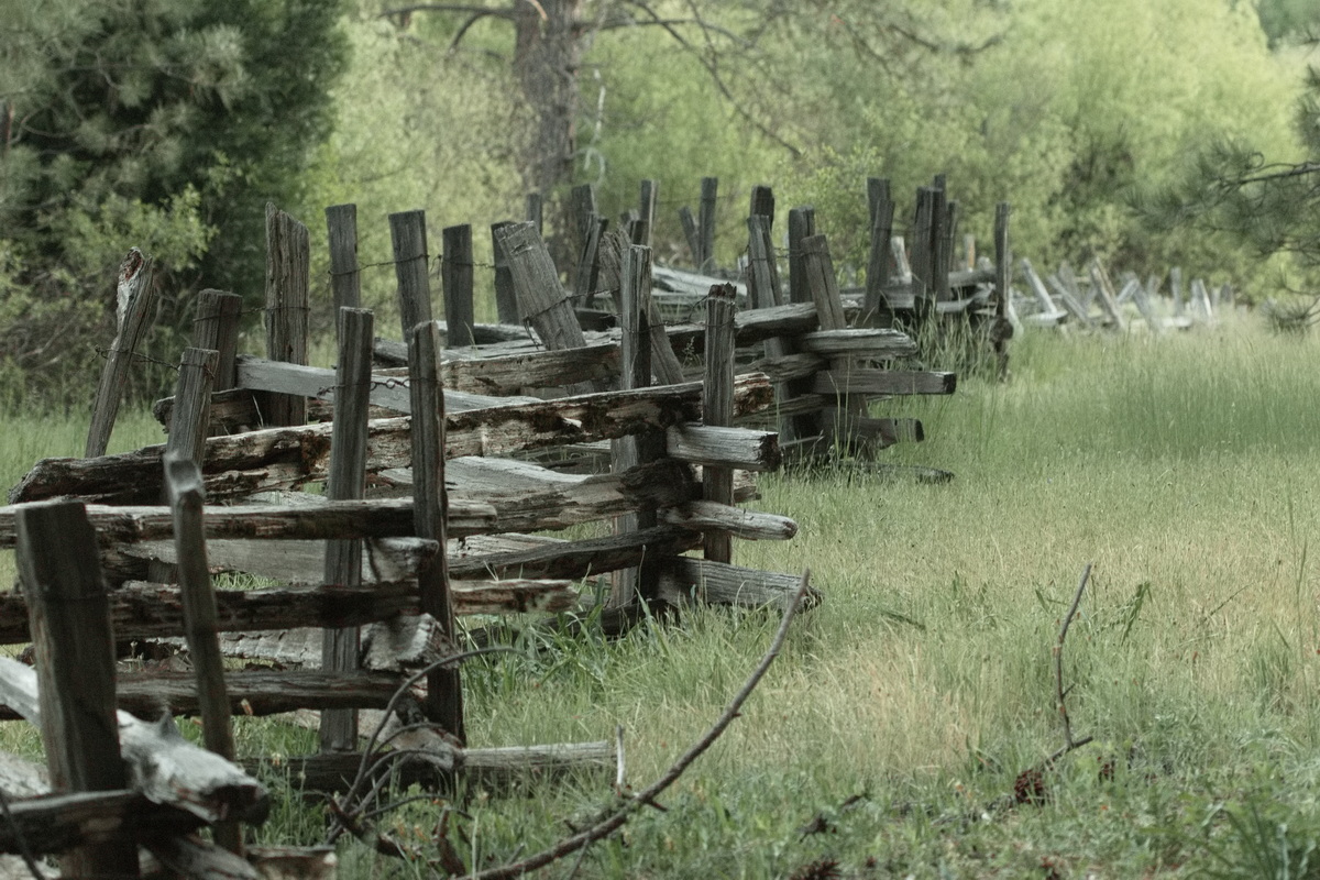 Wooden Fence in Wawona